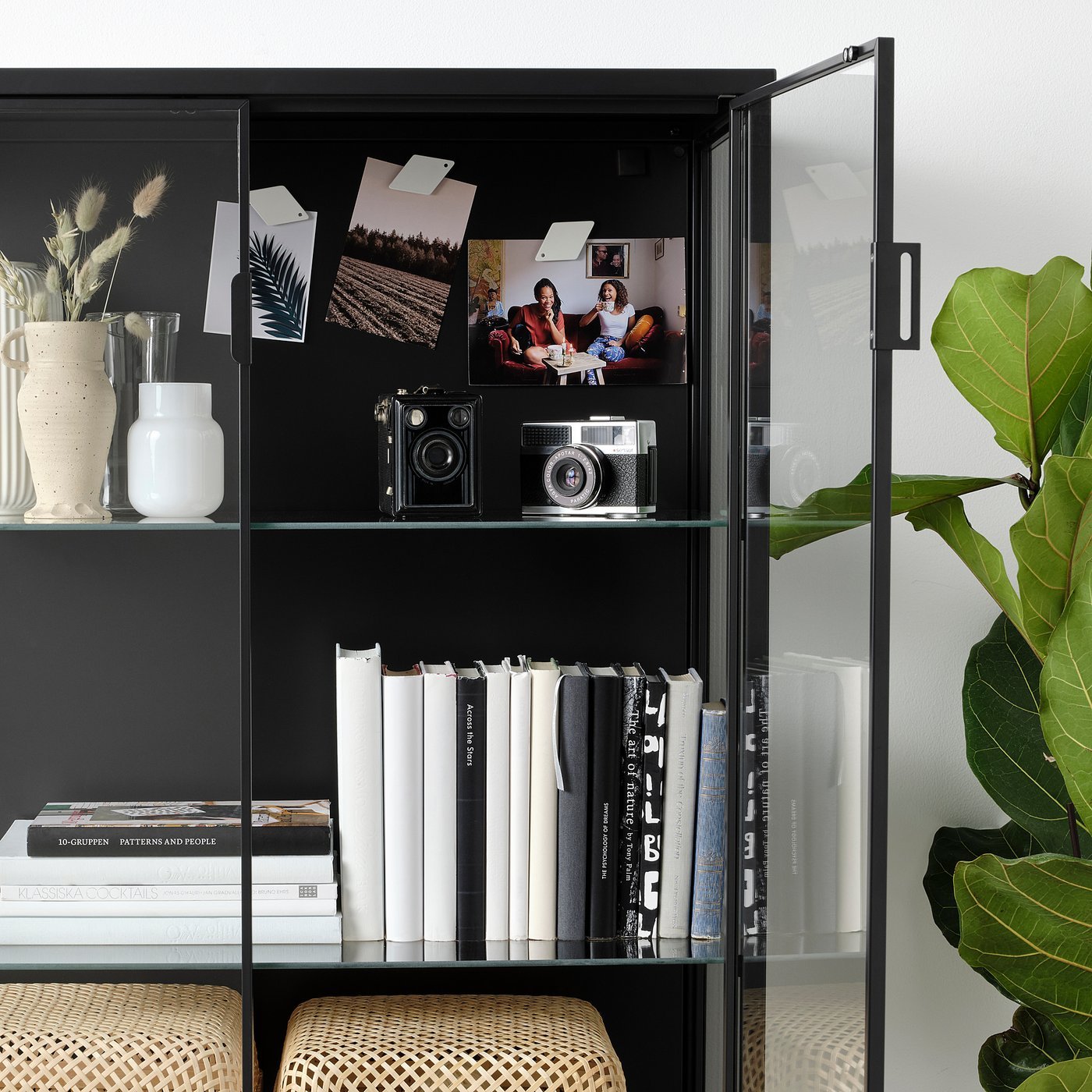 RUDSTA ルードスタ コレクションケース, チャコール, 80x37x120 cm - IKEA