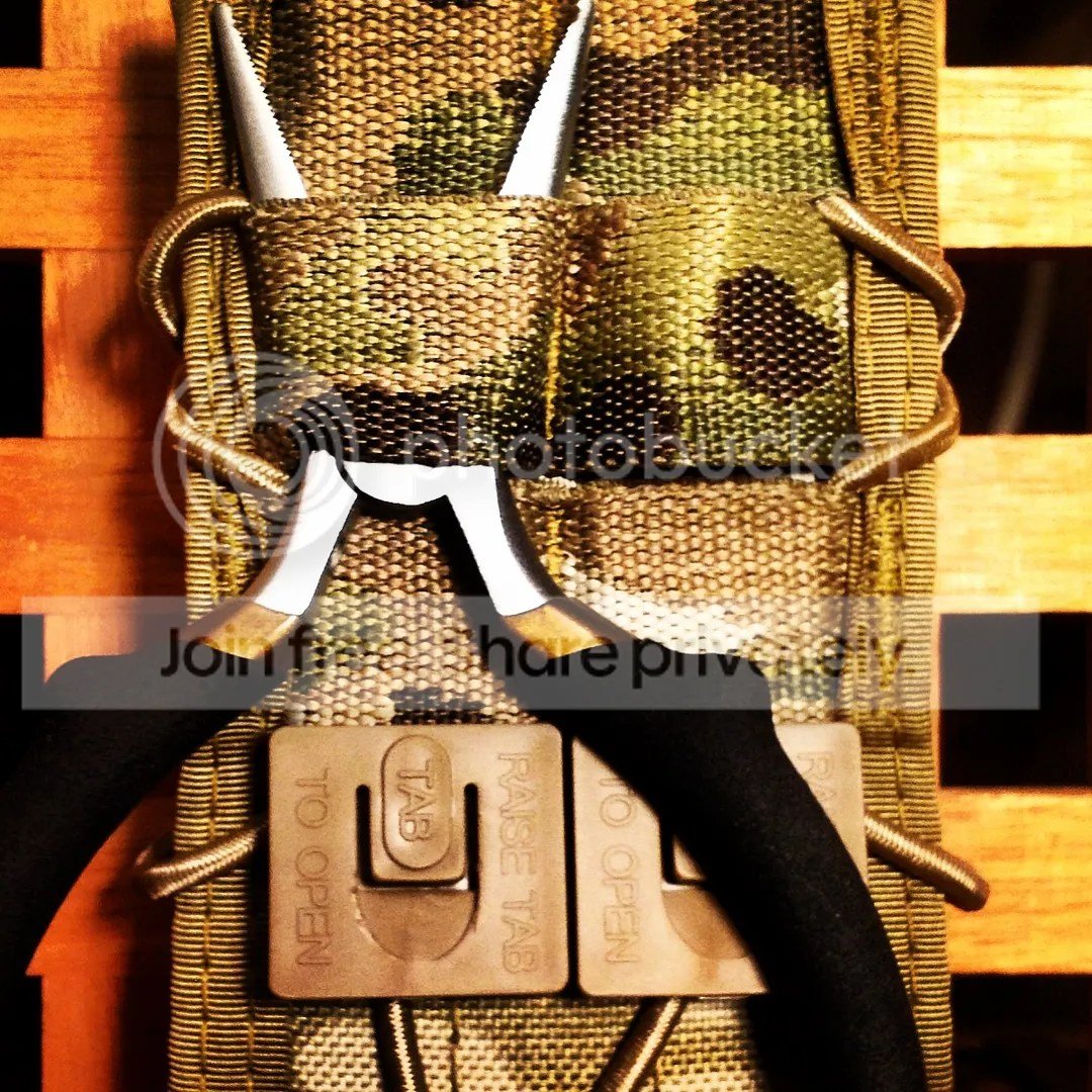 REVIEW: HSGI Taco – The Reptile House