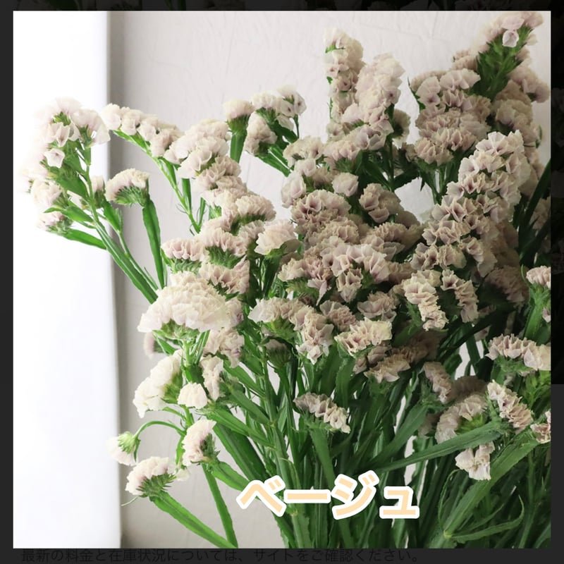 色が選べる！スターチスリース | ryuka-flower