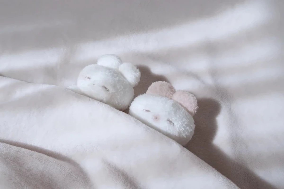 REMMEが贈る「うさぎのねむちゃん」初の絵本｜限定ぬいぐるみ付きで