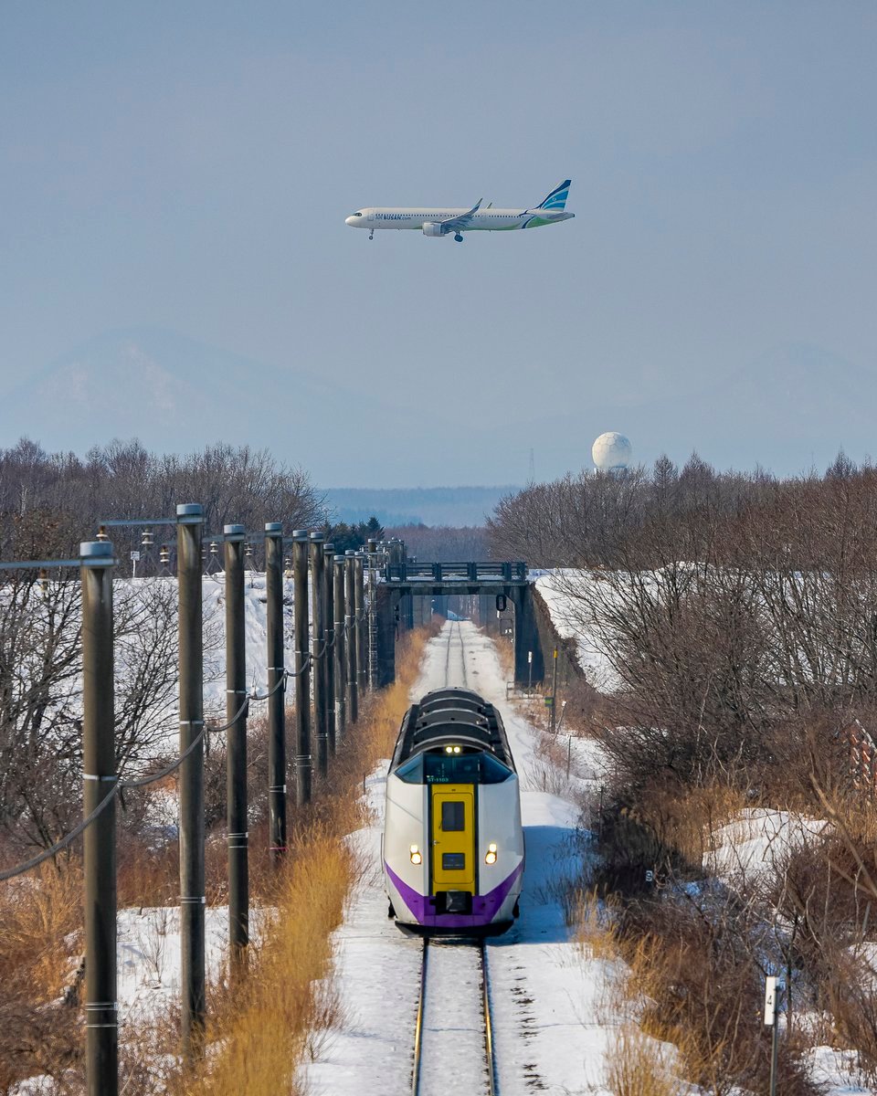 安易な撮影場所に群がって騒ぐ撮り鉄は駆除対象やと思うけど こりゃ