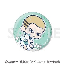 ハイキュー！！ わちゃっと！トレーディング缶バッジ 青葉城西 9個入り