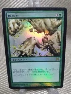 2026年最新】樫の力 foilの人気アイテム - メルカリ