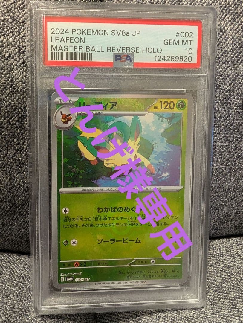 「とんげ」他の方の購入はキャンセルします　 ポケモンカード2枚セット スターターセットex「マリィのモルペコ＆オーロンゲex」 「ダイゴの