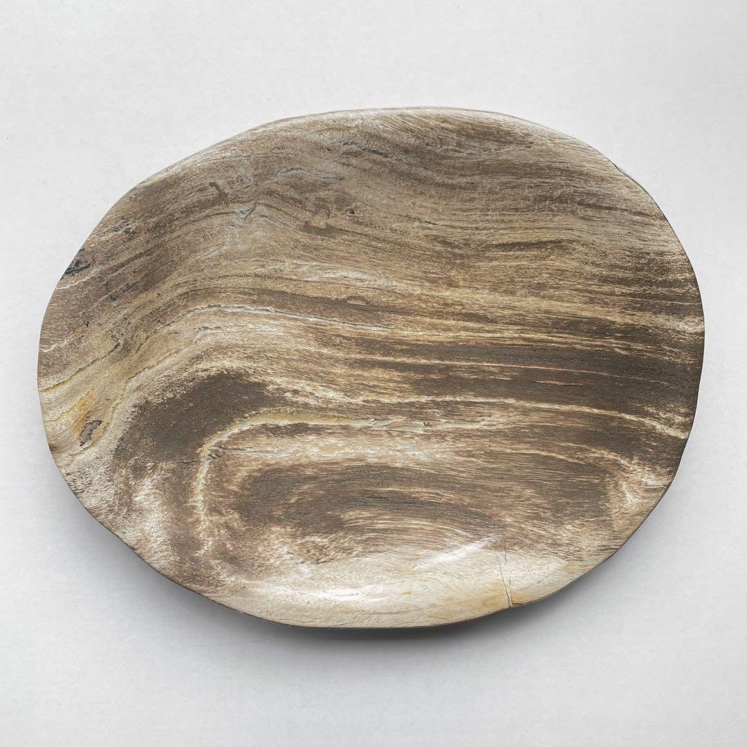 珪化木 ペトリファイドウッド 珪化木 ペトリファイドウッド プレート 置物 重さ170g-200g 神秘なる大