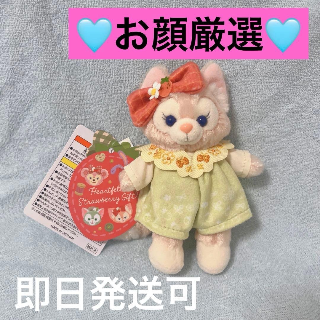 ディズニー リーナベル ハートフェルトストロベリーギフト ぬいぐるみバッジ ダッフィー＆フレンズといつでも一緒！ いちごを飾った「ぬいぐるみ
